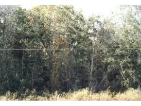 SW Sr 24, Archer, FL 32618