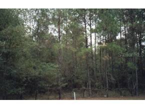 SW 75th Street, Gainesville, FL 32608