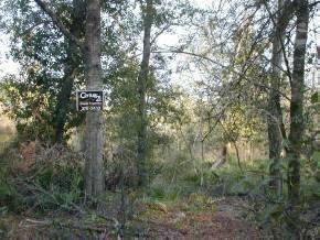 00 NE 81st Street, Gainesville, FL 32609