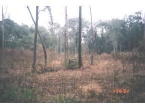 SW 51st Terrace, Gainesville, FL 32608