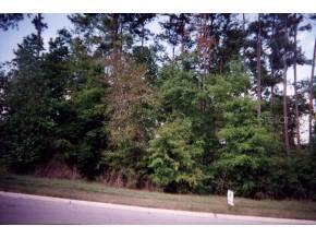 11330 NW 34th Ave, Gainesville, FL 32606