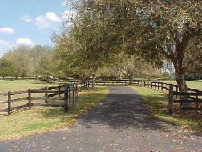 2001 SW 117th Street, Gainesville, FL 32607