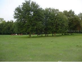 SE 4th Street, Williston, FL 32696