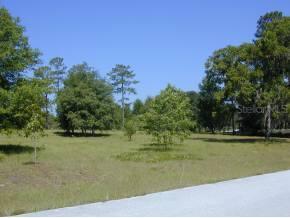 9210 SW 81st Way, Gainesville, FL 32608