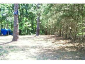 NW 123, Gainesville, FL 32657