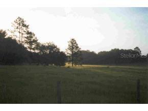 3009 SW 162nd Street, Newberry, FL 32669