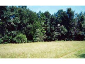 SW 21st Place Dr., Gainesville, FL 32608