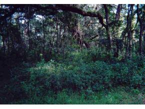 SW 63rd Avenue, Gainesville, FL 32608