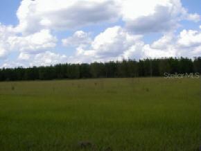 27504 NW Cr 239, Alachua, FL 32615