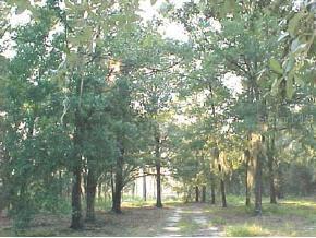 000 SE 229th Dr., Hawthorne, FL 32640