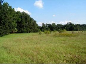 SW Wacahoota Road, Gainesville, FL 32667