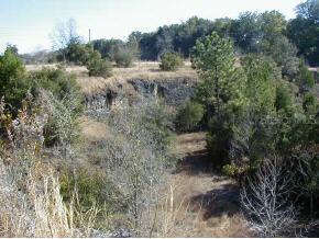 5818 NW 216th Ter., Newberry, FL 32669