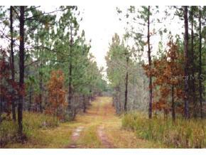 16250 NE 20th Street, Williston, FL 32696