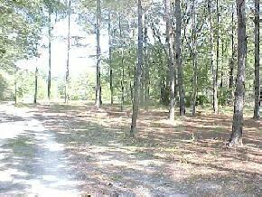 2414 SW 170 St, Newberry, FL 32669