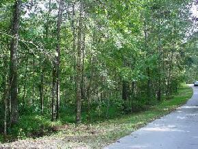 3960 NW 30th Pl., Gainesville, FL 32606