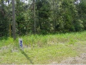 6500 NE Block 39th Ave, Gainesville, FL 32609