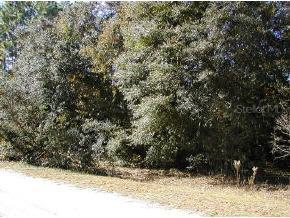 103 Chestnut Rd., Hawthorne, FL 32640