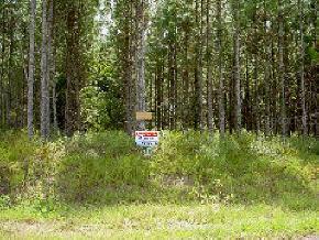 12409 SW 11th Ave, Gainesville, FL 32608