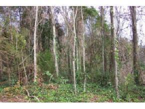 1638 NW 29th Rd., Gainesville, FL 32605