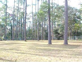 NW 15 Street, Gainesville, FL 32605