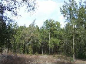 [Address Unavailable], Gainesville, FL 32606