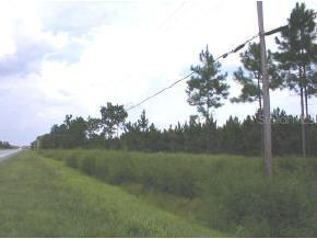 SE U.s. Highway 301, Hawthorne, FL 32640