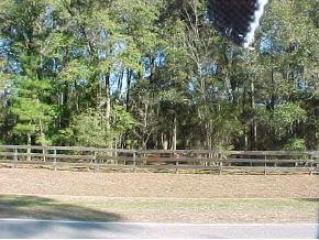 4129 NW 186th St., Newberry, FL 32669