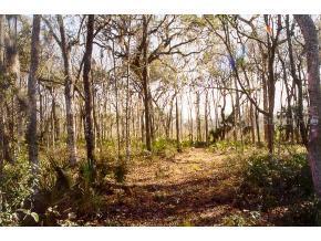 SW 20th Terrace Lot 2, Micanopy, FL 32667