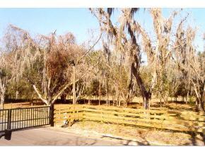 4704 SW 80th Place, Gainesville, FL 32608