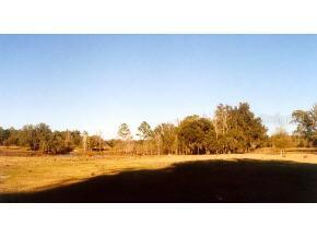 4816 SW 80th Place, Gainesville, FL 32608