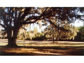 4920 SW 80th Place, Gainesville, FL 32608