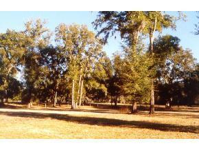 5028 SW 80th Place, Gainesville, FL 32608