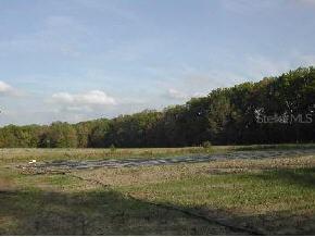 00 NW Newberry And 8th Ave, Newberry, FL 32669