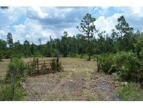 501 NE 132nd Ter., Gainesville, FL 32641