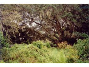 4920 SW Archer Road Rd., Gainesville, FL 32608