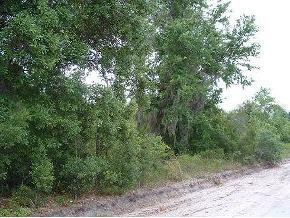 000 SE 60th Ave, Trenton, FL 32693