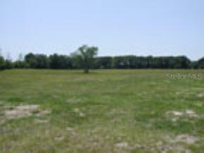 16005 SW 15th Avenue, Newberry, FL 32669