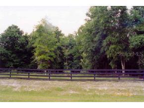 18370 SW 42nd Lane, Newberry, FL 32669