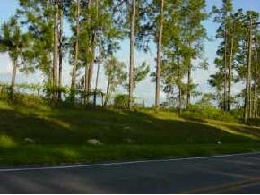 000 SW 282nd St. (c.r. 337), Newberry, FL 32669