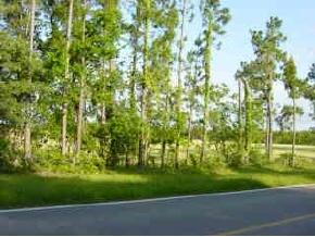 000 SW 282nd St. (c.r. 337), Newberry, FL 32669