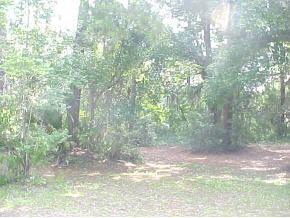 728 Seminole Ridge Road, Melrose, FL 32666