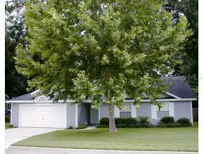 4128 NW 59th Ave., Gainesville, FL 32653