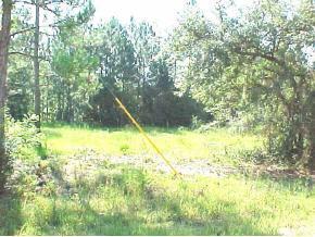 [Address Hidden by Seller], Suwannee, FL 32692