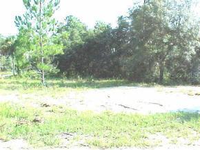[Address Hidden by Seller], Suwannee, FL 32692