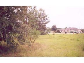 2715 SW 125th St, Gainesville, FL 32607