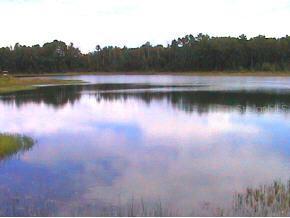 831 Lake Kempton Dr, Hawthorne, FL 32640