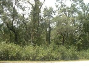 NE 111th Ave, Archer, FL 32618