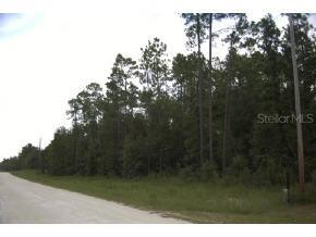 SW Loncala Loop St., Fort White, FL 32038