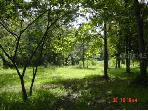 14790 NW 185th Street, Williston, FL 32696