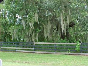 13512 NW 19 Place Pl., Gainesville, FL 32606